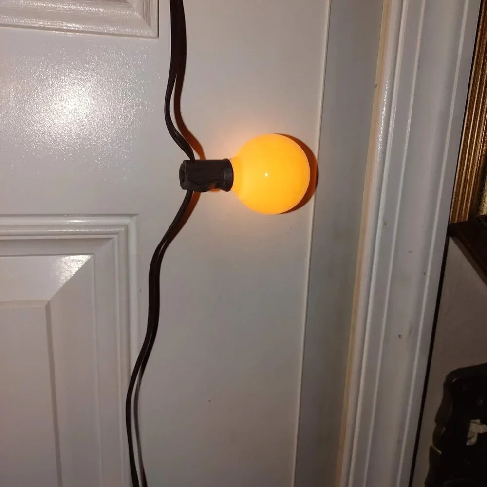 Warm Yellow Globe String Lights 10 Bulbs Indoor/Outdoor Brown Wire 8 Ft Plug-In